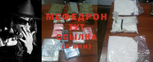 индика Абаза