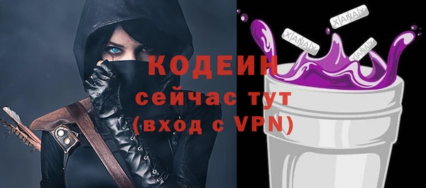 индика Абаза