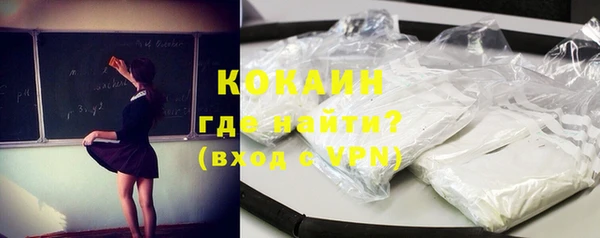 индика Абаза