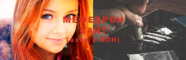 индика Абаза