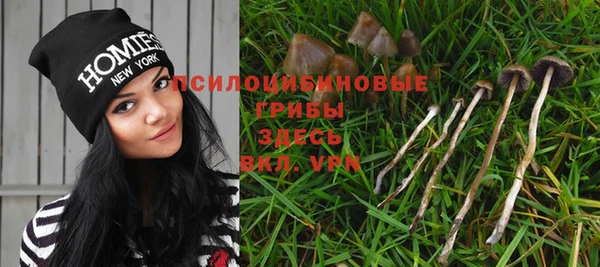 синтетический гашиш Абдулино