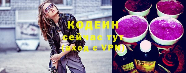 индика Абаза