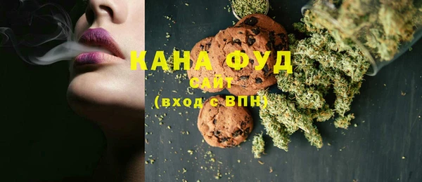 индика Абаза