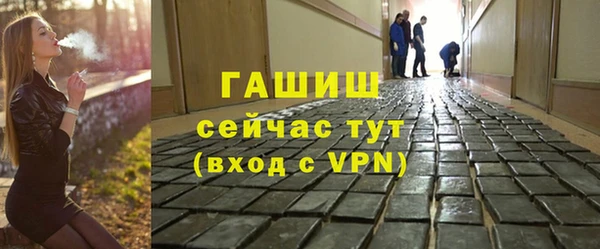 индика Абаза